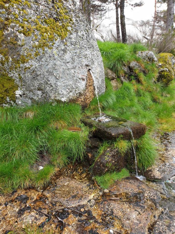 Casa Dos Cisnes - Serra Da Estrela - Sao Paio - Gouveia - Portugal Bagian luar foto